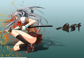 девушка, катана, меч, Ikkitousen, юбка