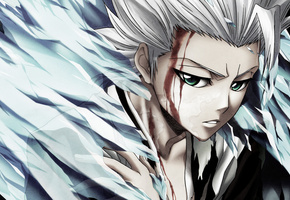 аниме, хицугая, тоусиро, Bleach, блич, лёд, банкай