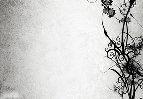 черный, Цветы, ветки