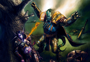 World of warcraft, раны, дреней, эльфийка, паладин, стрелы, blizzard