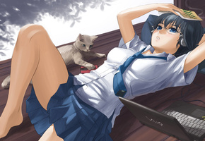 Аниме, кот, ноутбук, девушка