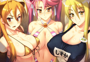 школа мертвецов, хисаси иго, Gakuen mokushiroku highschool of the dead