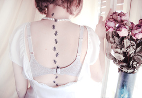 бюстгальтер, ползут, Спина, муравьи, тату