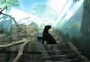 ступеньки, руины, Пантера, лестница, лес