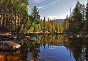 озеро, лес, Природа, камни