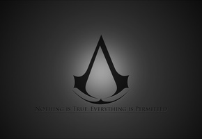 brotherhood, Assasins creed, братство, the game