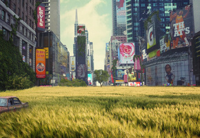 реклама, улица, автомобиль, Город, небоскребы, поле