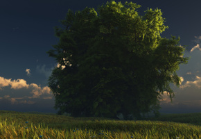 облака, digital, небо, Green and gold, дерево, трава