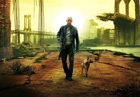 собаки, разное, Я легенда, мужчины, фильмы