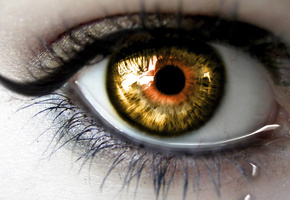 Глаз, зрачок, слеза, ресницы