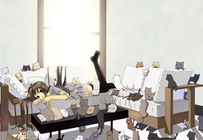 коты, девушка, Аниме, диван, много котиков