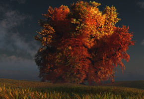 digital, трава, Red and gold, дерево, осень