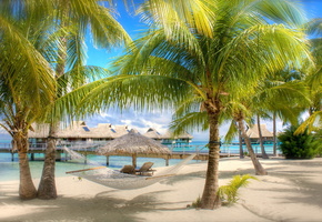 гамак, море, Пляж, пальмы, песок, бунгало