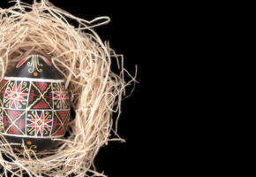 пасха, гнездо, яйцо, Чёрный, фон