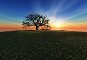 закат, Sunset hill, cg