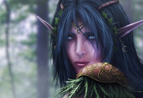 эльфийка, fantasy, Фантастика, warcraft, night elf