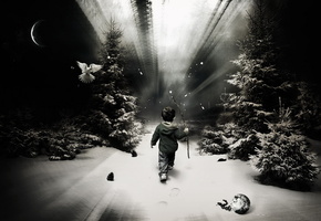 след, снег, ребёнок, лес, один, Мальчик