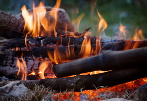 костёр, Огонь, природа