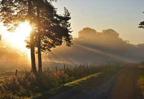 пейзаж, свет, дорога, Утро