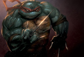 teenage mutant ninja turtles, Tmnt, черепашки, ниндзя