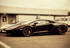 lamborghini, cars, aventador lp700-4, Auto