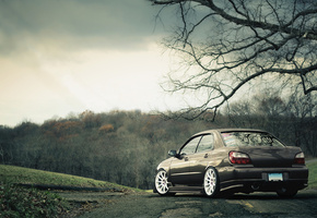 природа, Subaru, осень