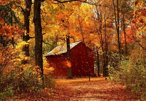 Осень, листья, лес, домик, парк, деревья, тропинка