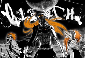 форма пустого, Аниме, блич