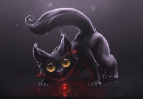 cats, опаска, кот, осторожность, интерес, Кошки, шарик