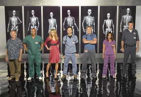 scrubs, тёрк, Клиника, доктор кокс, эллиот, джей ди