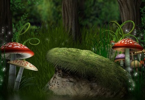 грибы, forest, Magic, mushroom, лес, папоротники, трава, мухоморы