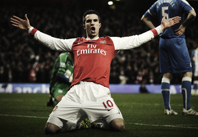 стадионы, трава, футбольные обои, победа, football clubs, арсенал, ван перси, радость, Спорт, англия, persie, arsenal, stadiums