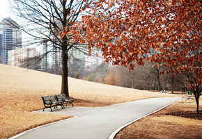 дорожка, листва, Город, парк, пейзаж, деревья, осень