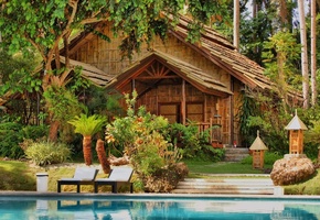 вода, деревья, бассейн, пальмы, Дом