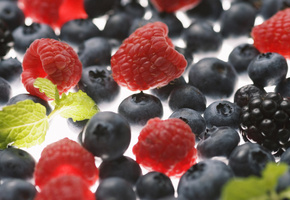 ежевика, малина, Ягоды, черника, макро