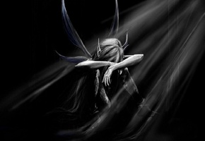 эльф, заблудился, Чёрный