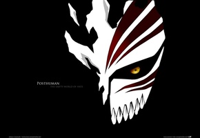 блич, маска пустого, Аниме