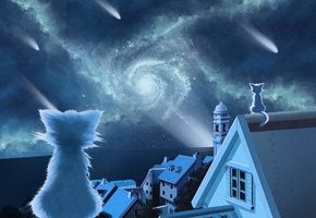 галактика, Кошки, дома