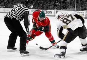 Хоккей, арбитр, шайба, каток