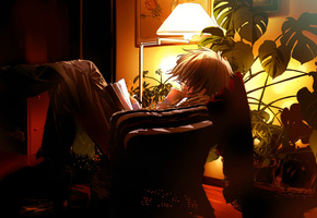 Аниме, вечер, книга