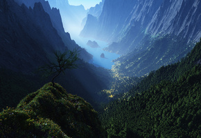 лес, горы, Cg