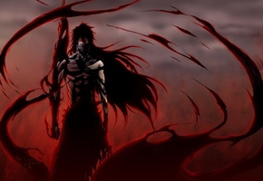 новаяформа, ичего, блич, Аниме