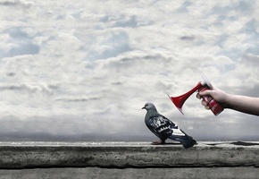 рука, облака, Голубь, небо, парапет