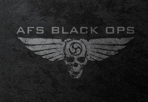 крылья, black ops, Череп, skull