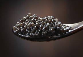 ложка, вкусно, Макро, ням-ням, икра, черная