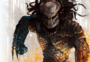 Хищник, цвета, рисунок