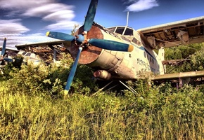 Самолёт, кукурузник, винт, обломки, крылья