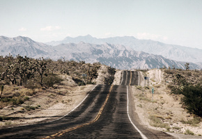 пейзаж, трава, природа, деревья, горы, Песок, кусти