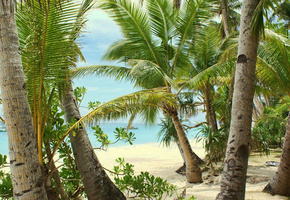 тепло, песок, Лето, пальмы, море, пляж, отдых