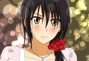 аниме, anime, Kaichou wa maid-sama, девушка, misaki ayuzawa